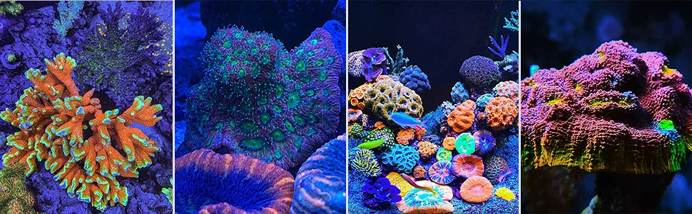 NEW PopBloom RL90 WiFi Led Aquarium Light Full Spectrum, Reef Light Aquarium Saltwater Coral Growing Marine Aquarium Tank Lamp